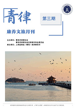 青岛市律师协会