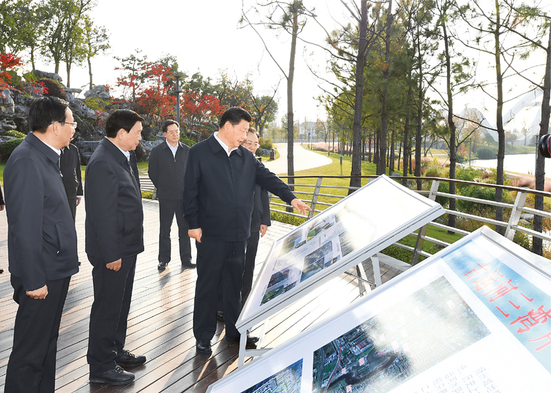 1764235786404005.jpg 6.jpg